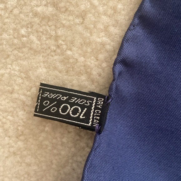 Celine Silk Scarf - Picture 4 of 7